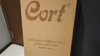 Bought my First  Cort Guitar Cort Sunset Nylectric II