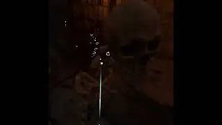 Skeleton (BONELAB)