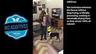 Mojo Pet Supplements Full Spectrum Hemp Sativa Extract Oil Pet Supplements MP4 2019