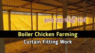 Boiler Poultry Farming Curtain Fitting Work | Chicken Farming