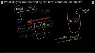 What do you understand by the term common ion effect?
