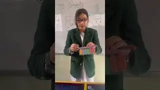 Activity about Probability