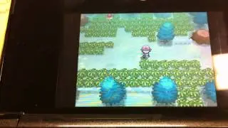 Pokemon Black/White Shaking Grass