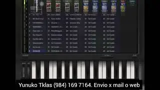 COMBINACIONES PARA iM1 Korg