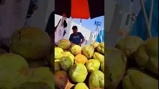 Mind Blowing Coconut Cutting Skills You Have to See!