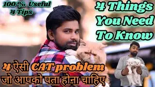 4 Things You Need To Know Before Getting a Cat / Kitten |What You MUST Know Before Getting a KITTEN?
