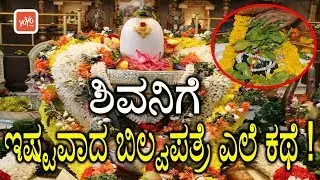 ಶಿವನಿಗೆ ಇಷ್ಟವಾದ ಬಿಲ್ವಪತ್ರೆ ಎಲೆ ಕಥೆ ! | Importance Of Bilva Patra in Shiva Pooja | YOYO TV Kannada