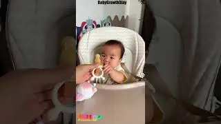 How Do I Stop My Baby from Choking on Fruits? Use the Fruit Feeding Baby Pacifier!#Shorts