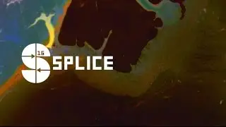 Splice Festival 2016