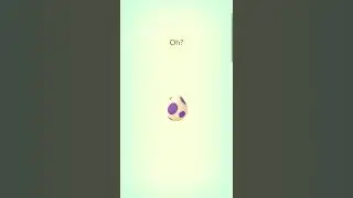 10km🥚 hatching Rockruff!!! 🐕