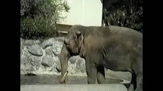 CEC Zoo Lauras 3rd