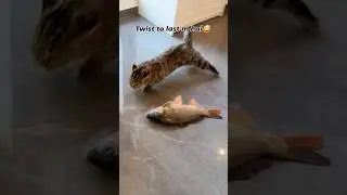 twist in the end.... #funnymimiz #funny #comedy #failnottolaugh #shorts