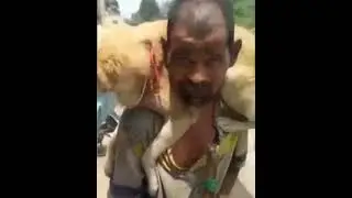 इंसानियत की मिसाल l Man carrying dog on shoulder