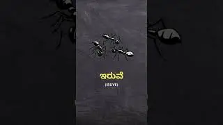 ಇರುವೆ (iruve) = Ant | Kannada to English