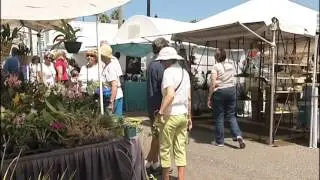 SNN: Downtown Venice crafts festival