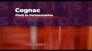 From Field to Fermentation in Cognac from the Alcohol Education Alliance (331a)