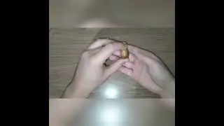 Meşe ağacı palamudu &ccedil;imlendirme