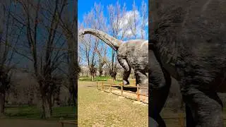 #Galvesaurus Caminando entre #dinosaurios en #Galve #Teruel #spain #nature #reels #dinopolis
