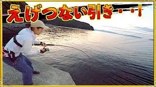 第373話【ショアジギング】開始早々青物が・・!朝マズメのブリが掛かる!の巻
