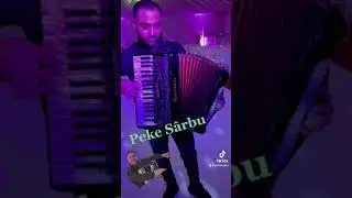 Peke S&acirc;rbu-Live ( Linistea sufletului )
