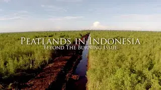 Peatland in Indonesia: Beyond The Burning Issues (trailer)
