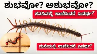 ಮನೆಯಲ್ಲಿ ಜರಿ ಕಾಣಿಸಿದರೆ ಏನರ್ಥ?If Jari appears in the house #centipede