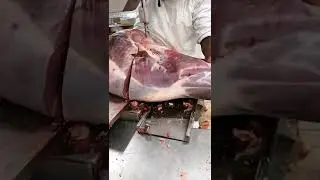 Meat Cutting With Machine Skill #shorts #viral #viralvideo