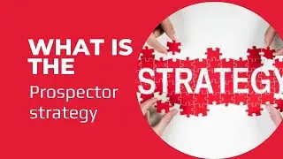 What is the Prospector strategy