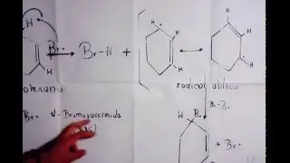 Mecanismo de Reacci&oacute;n de la Halogenaci&oacute;n Alilica de Alquenos