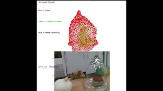 Extract 3D model of an object inside transparent vessel from a image using computer vision (XYZ map)