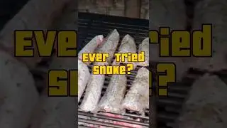 Ever tried cooking snake?  Any better recipes?             #snakerecipe #snakes #survivalgardener