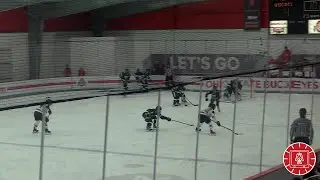 HIGHLIGHTS: No. 2 women's ice hockey vs Bemidji State