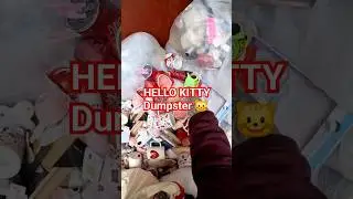 Dumpster diving for Hello Kitty  Rae Dunn and more #dumpsterdiving #hellokitty #raedunn #love #heart