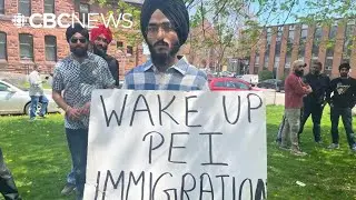 P.E.I.&rsquo;s permanent residency nominations in 2025 cut by half