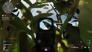 Bush Whacking