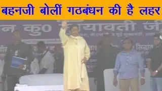 मायावती ने कहा गठबंधन की है लहर! Mayawati said the wave of the coalition