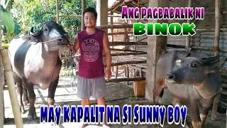 ANG KAPALIT NI SUNNY BOY BUHAY BUKID JRTV