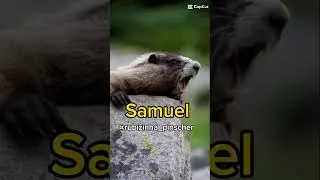 Samuel #samuel #samuca #sam