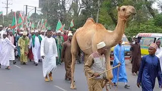 NGAMIA MKUBWA WA MILIONI TATU ATEMBEZWA ARUSHA, GAMBO, VIONGOZI WA DINI WAFUNGUKA