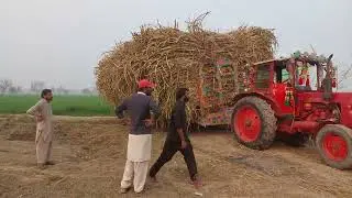 trolley tire burst | 2 Belarus tractor and fiat 640 pulling through mud