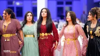 Hamo & Linda - Part 3 - Barzan Khalaf Al Hezni - Stadtoldendorf - Sharya Video Production 2025.4K