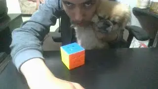 RETO-RESOLVIENDO EL CUBO DE RUBIK DURANTE 1.000 DIAS DIA 32