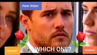 Peter Weber - The Bachelor -  Final Rose Ceremony - Type Beat