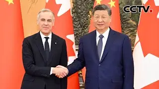 习近平会见加拿大总理：中加关系健康稳定发展符合两国共同利益 | CCTV