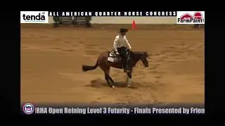 3yo mare by gunner full sister of gunner dun it again 