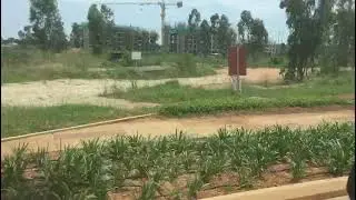 Embassy Edge, Embassy Springs, Actual Society, Devanahalli, Bangalore