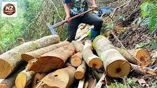 Satisfying ASMR Firewood Cutting | Clean Axe Hits | No Talking