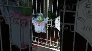 Trolling People with a scary mascot (part 1)