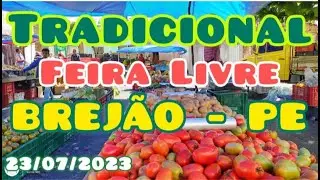 Tradicional Feira Livre de Brejão - PE
