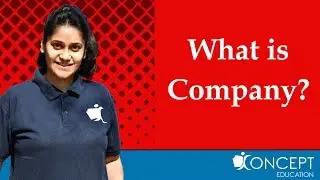 What is Company